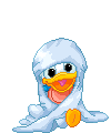 paperino gif