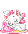 gattina