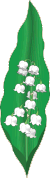 fiore