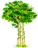 albero gif