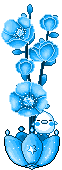 composizione blu
