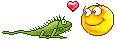 amor