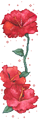 fiore