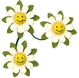 fiori bianchi