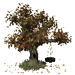 albero bruno