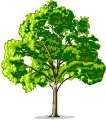 albero verde