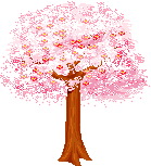 albero rosa