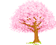 albero rosa