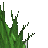 erba