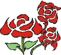 fiori rossi