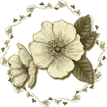 fiore color seppia