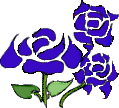 fiori blu