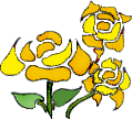 fiori gialli