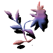  fiore84.gif