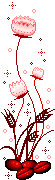 fiorellini