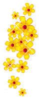 fiori gialli