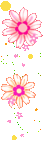 fiori in cascata