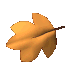 foglia autunno