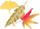 foglie autunno gif