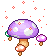 fungo viola
