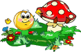 smiles fungo
