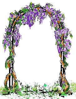 fiore glicine