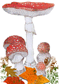 funghi gif