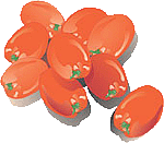pomodorini