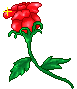 fiorellino