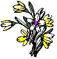 mazzo di fiori