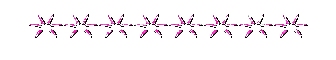 separatore