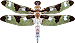 libellula gif
