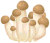 funghi pioppini gif