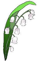 fiore di mughetto