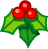 agrifoglio natale