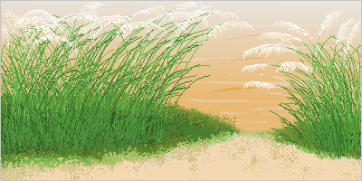 Paesaggio erba alta
