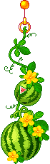 pendente cocomeri