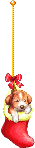 cane pantofola