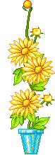 fiori gialli in vaso