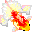 gif pesce