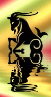 segno zodiacale Capricorno