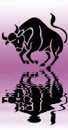 segno zodiacale Toro 