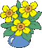 fiore giallo gif