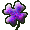 quadrifoglio viola