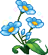 fiore