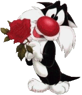gatto silvestro