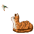 gatto con uccellino