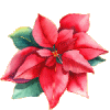 stella di natale Glitter