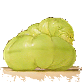 bruco verde gif