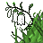 fiore mini